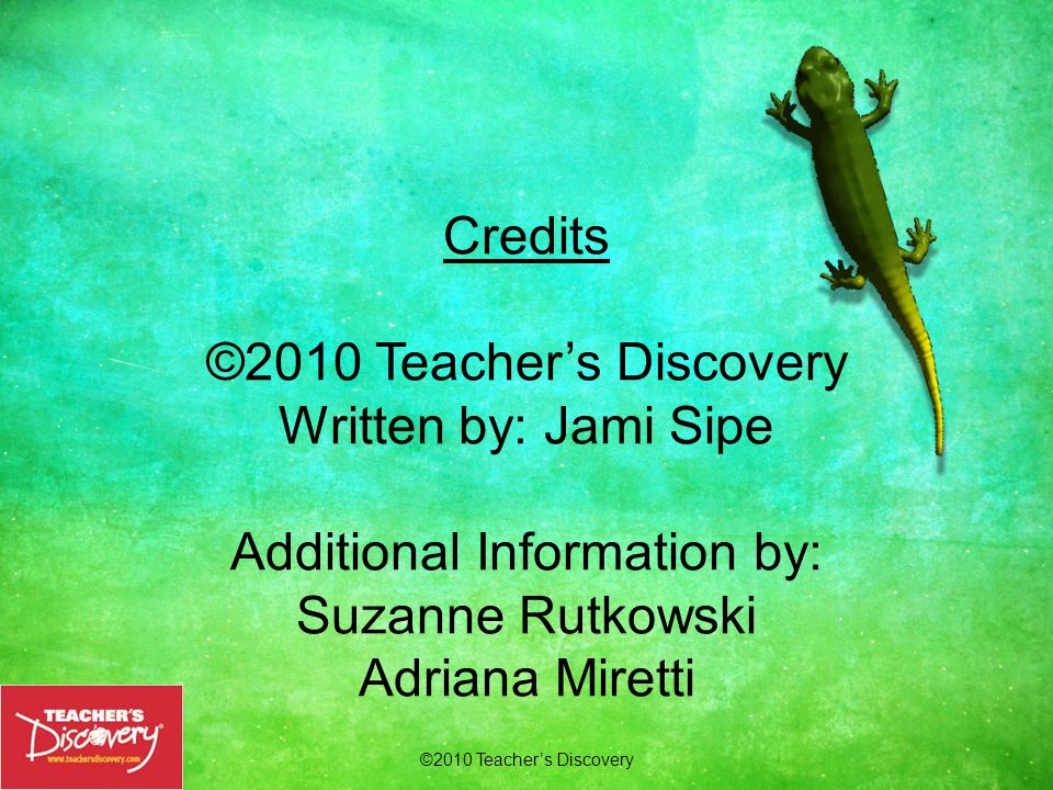 Credits ©2010 Teacher’s Discovery Written by: Jami Sipe Additional Information by: Suzanne Rutkowski Adriana Miretti Order Today.