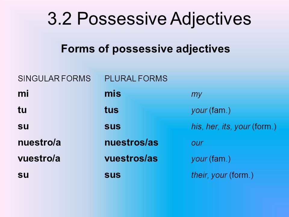 Forms of possessive adjectives