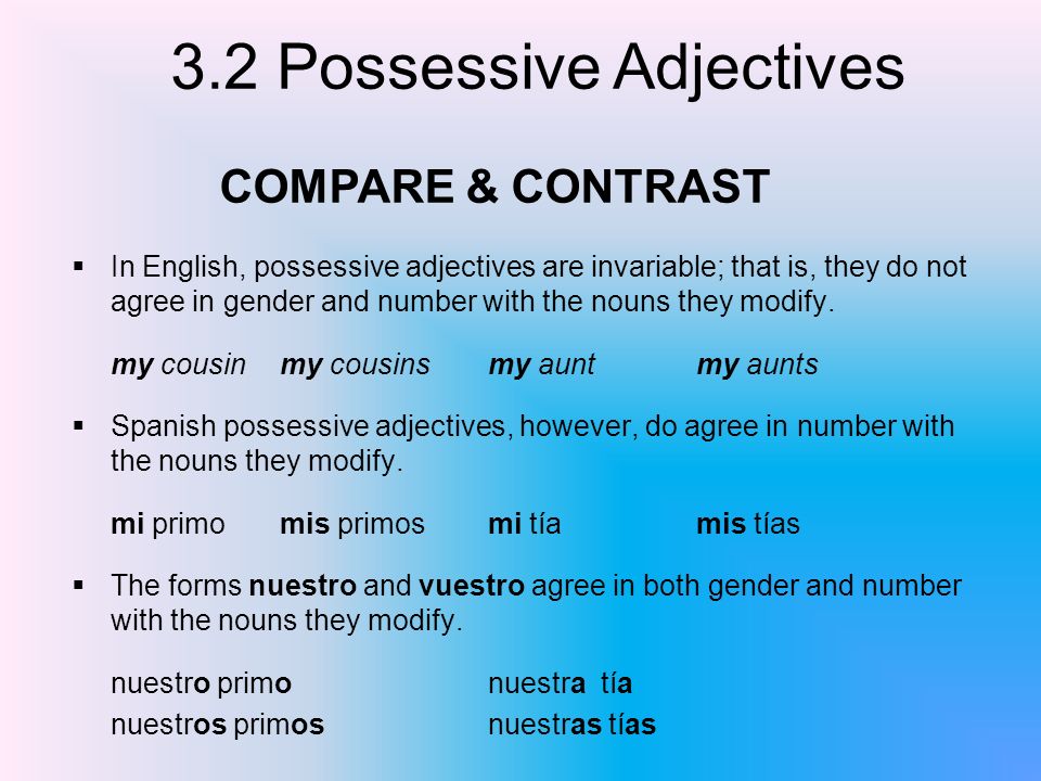 COMPARE & CONTRAST In English, possessive adjectives are invariable; that is, they do not agree in gender and number with the nouns they modify.