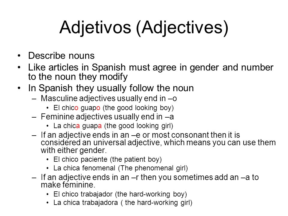 Adjetivos (Adjectives)