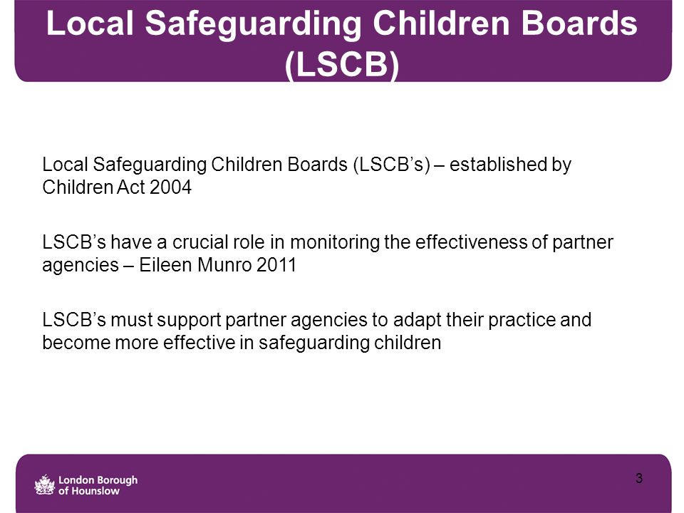 Local Safeguarding Children Boards (LSCB)