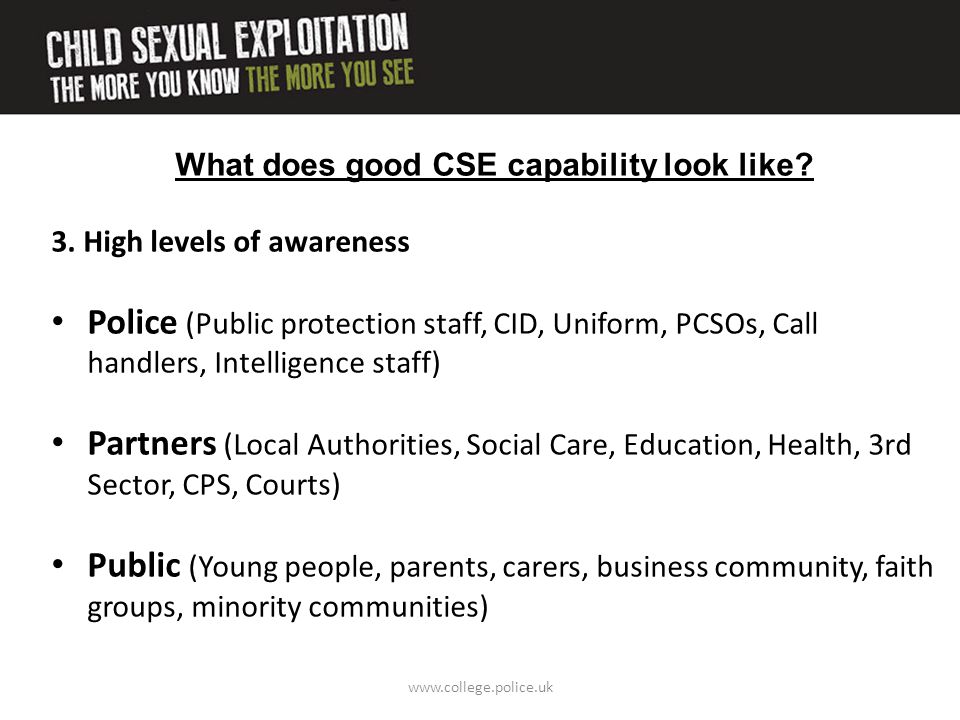 What does good CSE capability look like