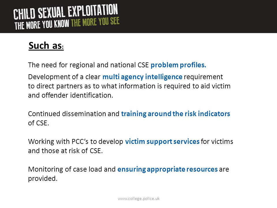 Such as: The need for regional and national CSE problem profiles.