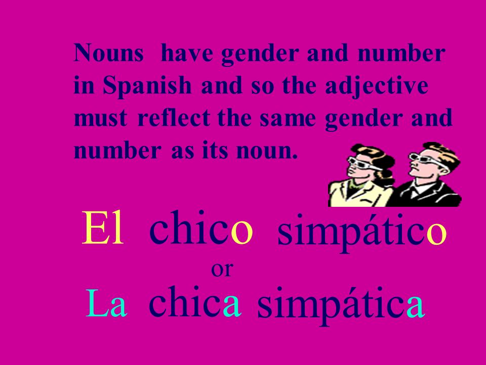 El chico simpático simpática La chica Nouns have gender and number