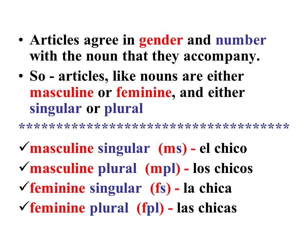 Articles agree in gender and number with the noun that they accompany.