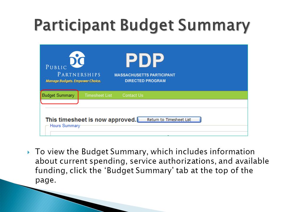 Participant Budget Summary