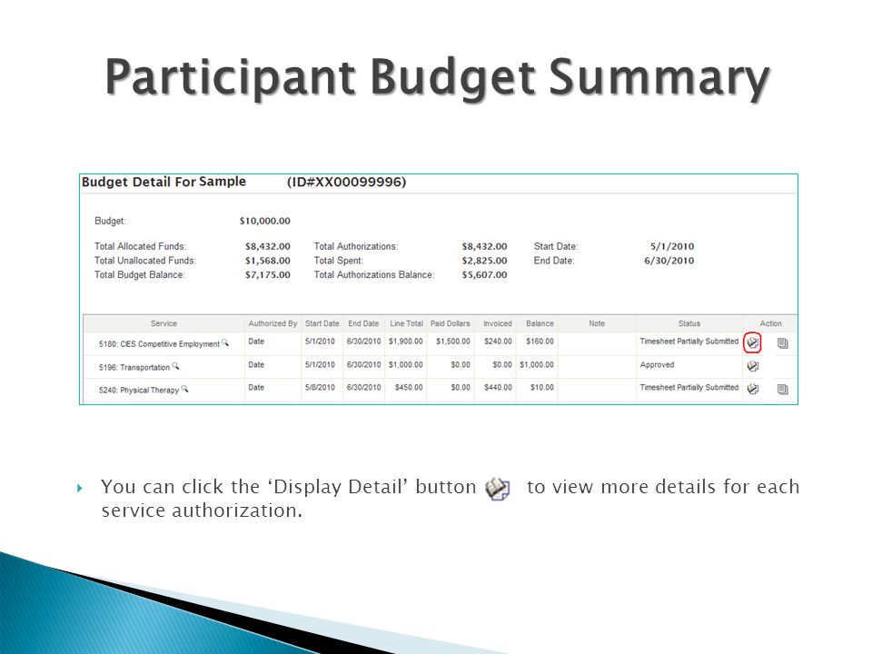 Participant Budget Summary