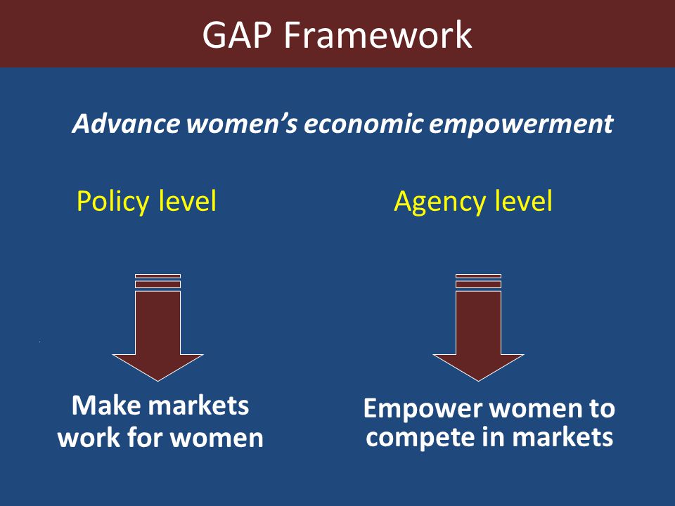 GAP Framework Policy level Agency level