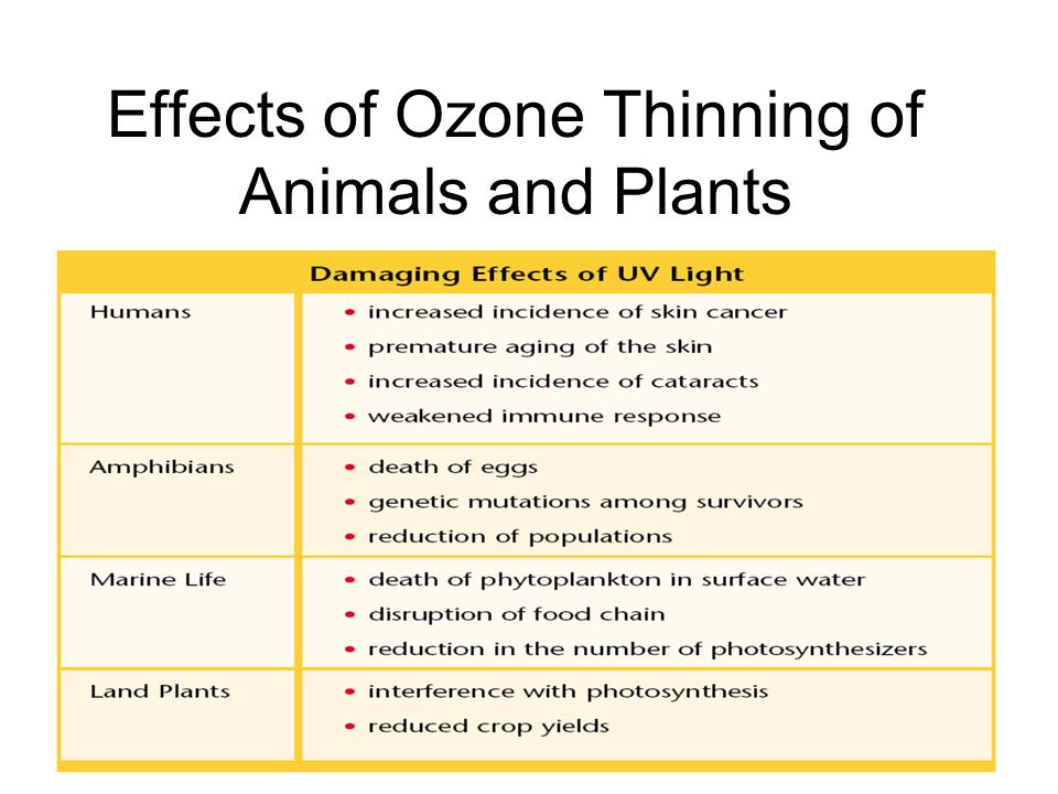 Effects of Ozone Thinning of Animals and Plants