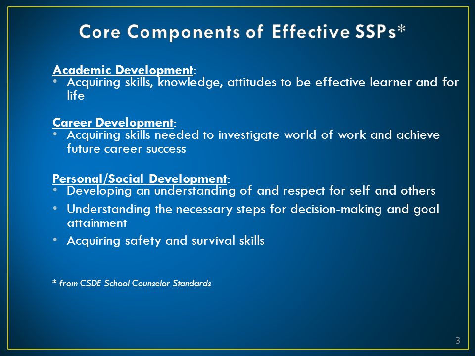 Core Components of Effective SSPs*
