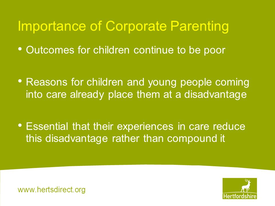 Importance of Corporate Parenting