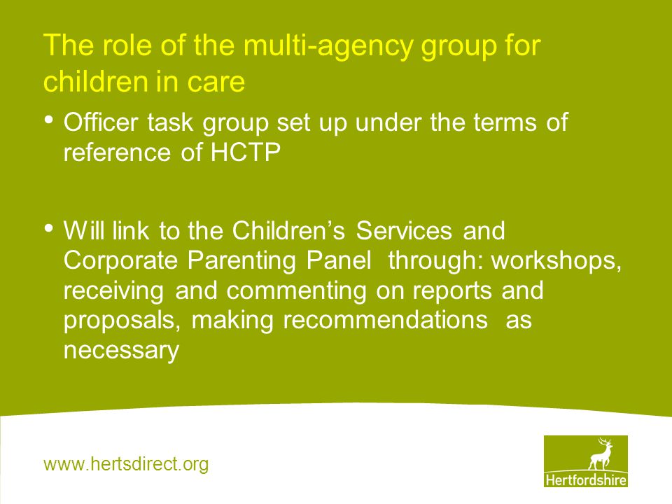 The role of the multi-agency group for children in care