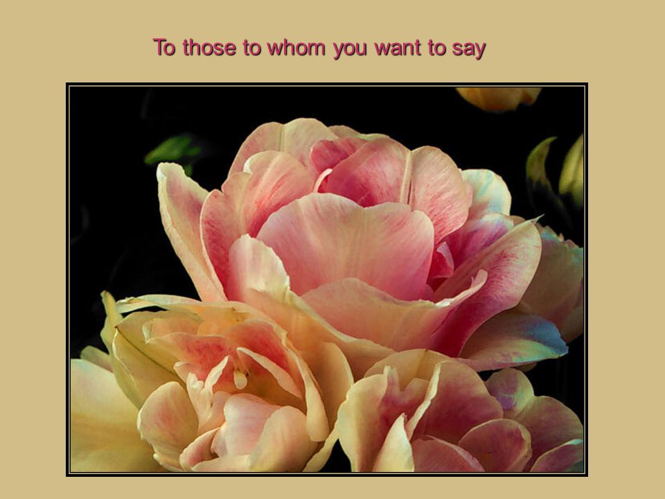 To those to whom you want to say