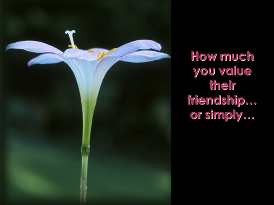 How much you value their friendship… or simply…
