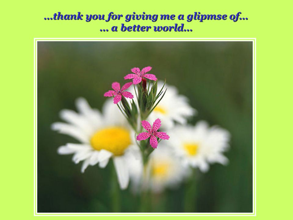 …thank you for giving me a glipmse of…