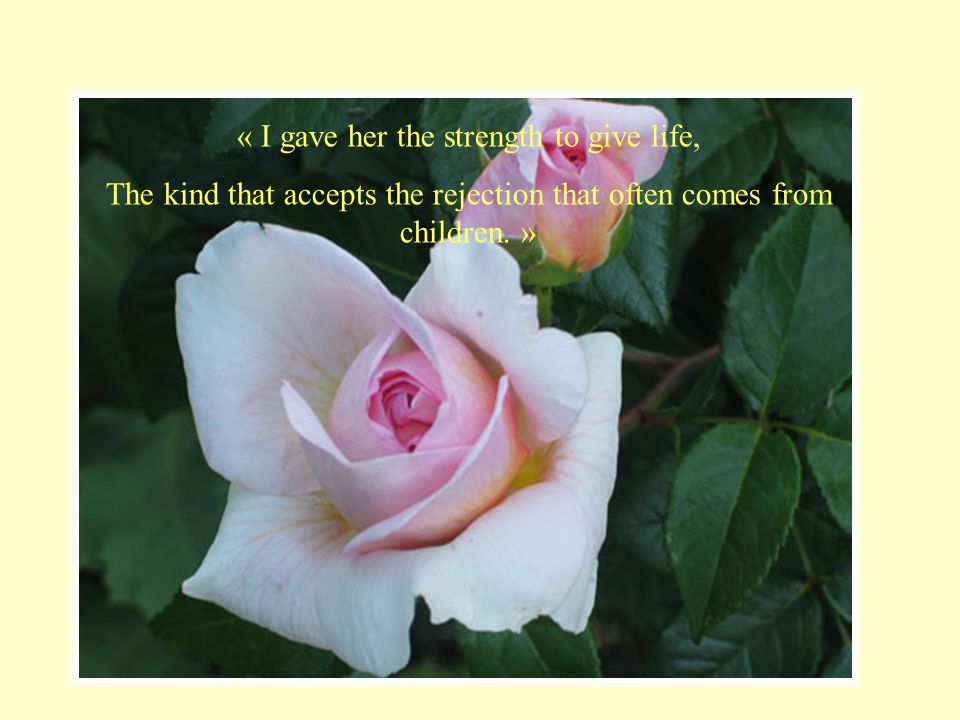 « I gave her the strength to give life,
