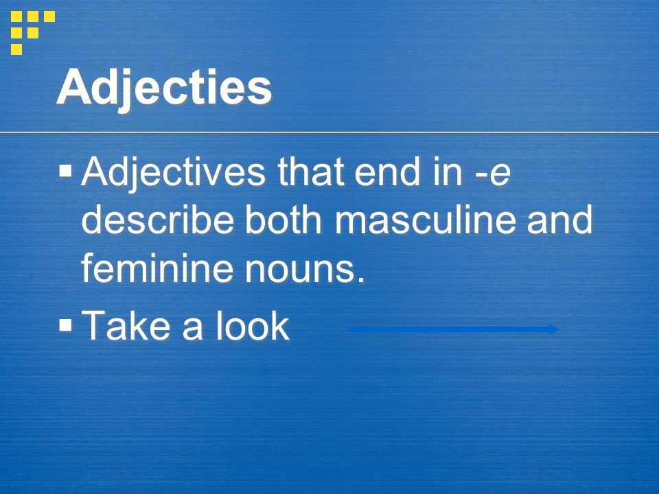 Adjecties Adjectives that end in -e describe both masculine and feminine nouns. Take a look