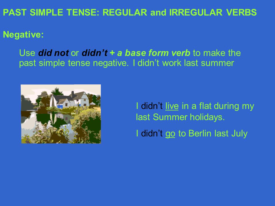 PAST SIMPLE TENSE: REGULAR and IRREGULAR VERBS Negative: