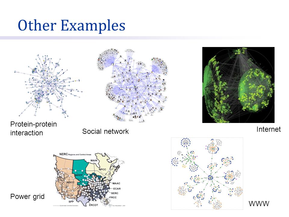 Other Examples Protein-protein interaction Internet Social network