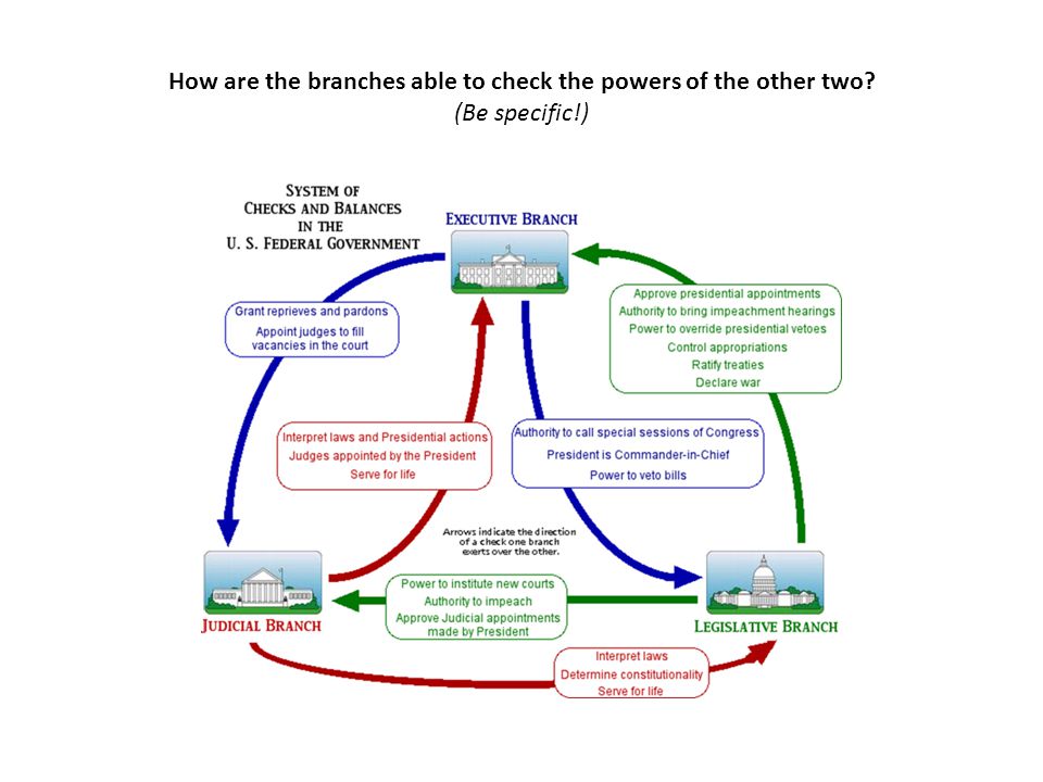 How are the branches able to check the powers of the other two