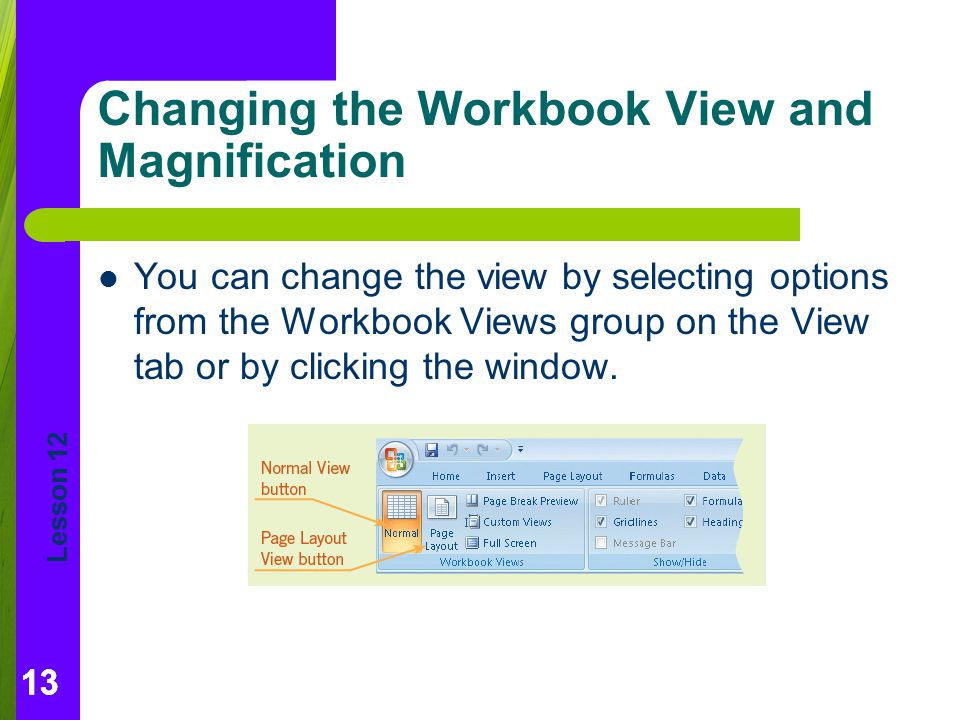 Changing the Workbook View and Magnification