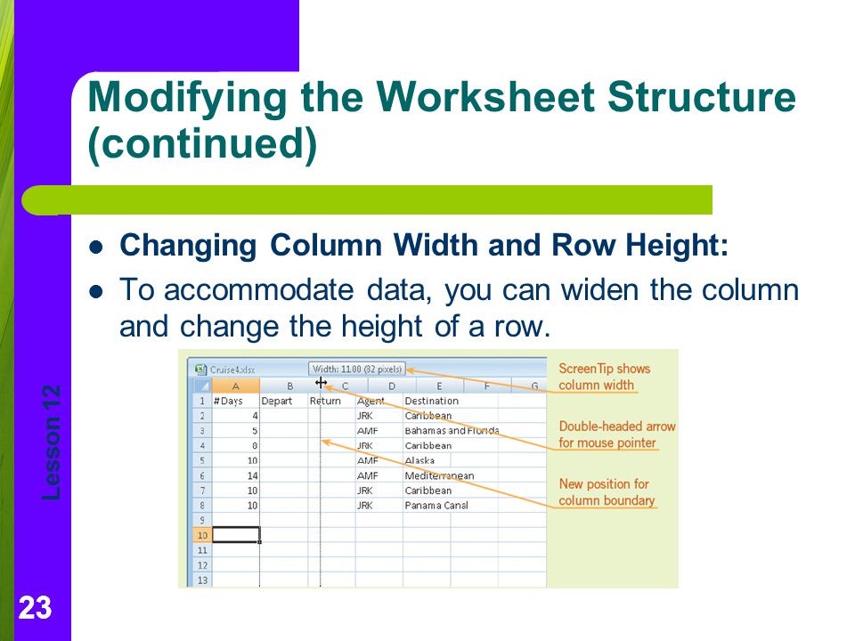 Modifying the Worksheet Structure (continued)