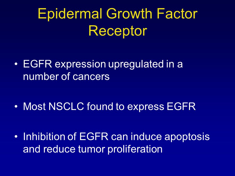 Epidermal Growth Factor Receptor