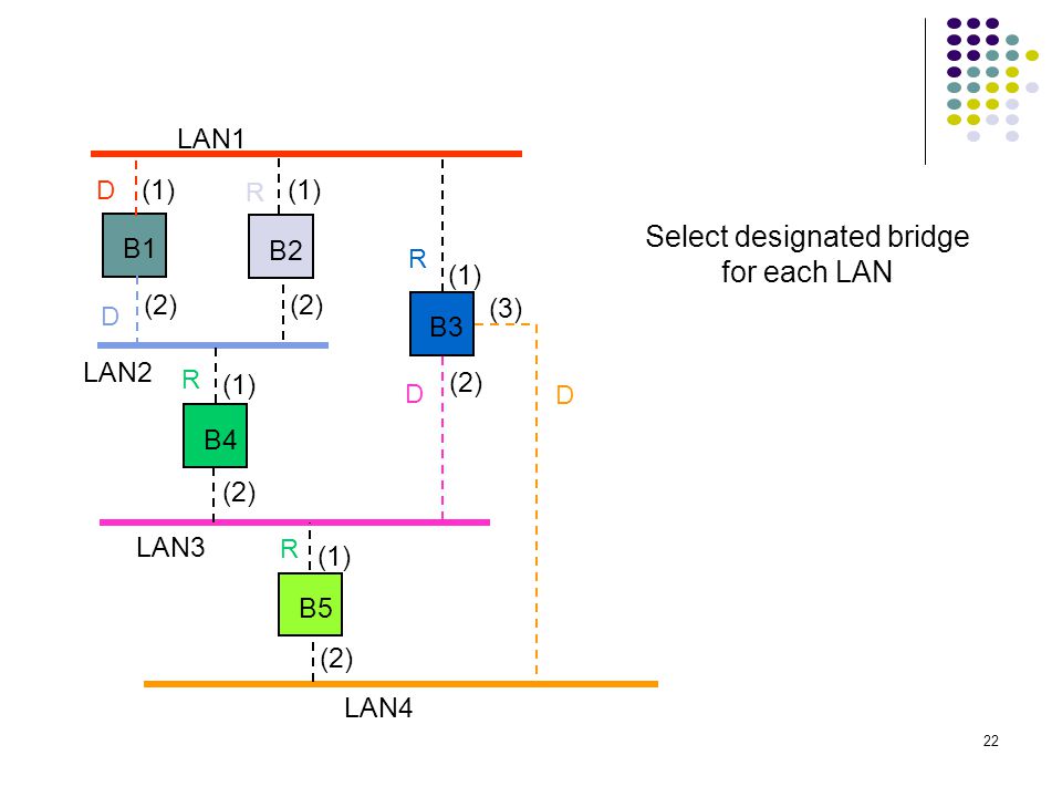 Select designated bridge for each LAN
