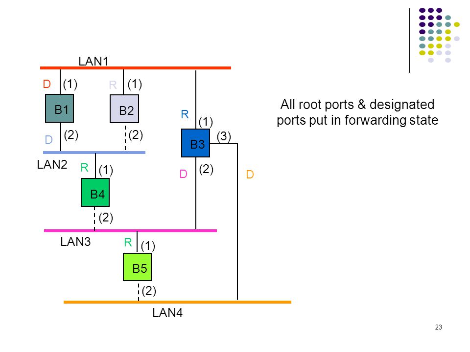 All root ports & designated ports put in forwarding state