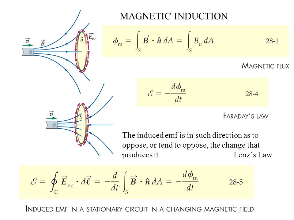 MAGNETIC INDUCTION