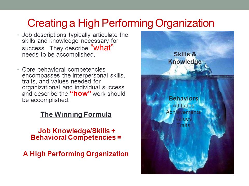 Creating a High Performing Organization