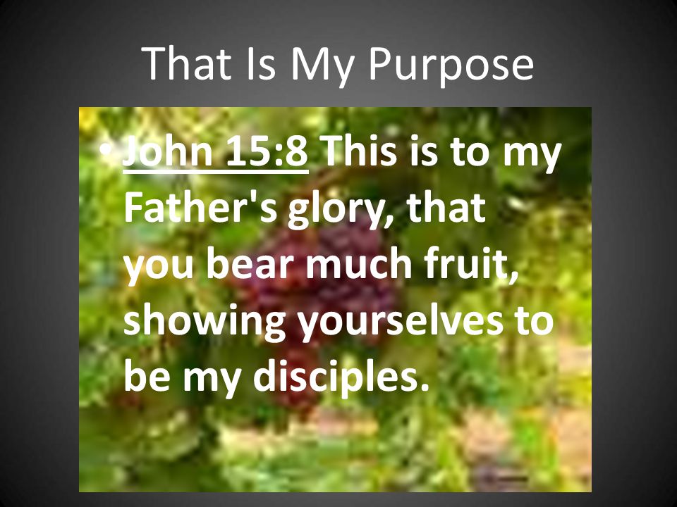 That Is My Purpose John 15:8 This is to my Father s glory, that you bear much fruit, showing yourselves to be my disciples.