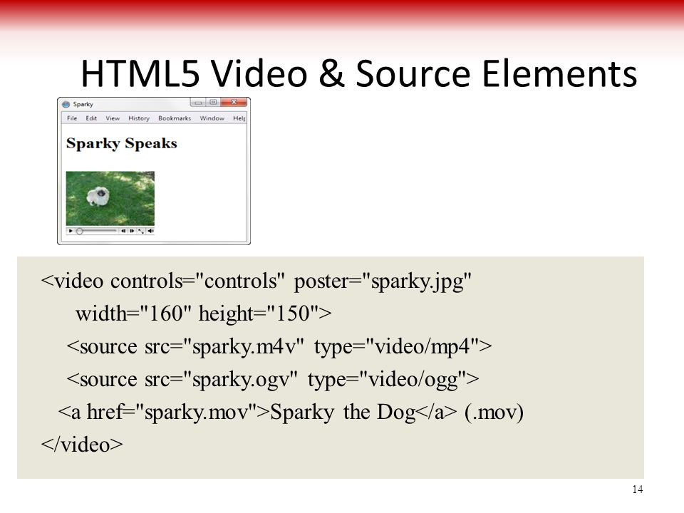 HTML5 Video & Source Elements