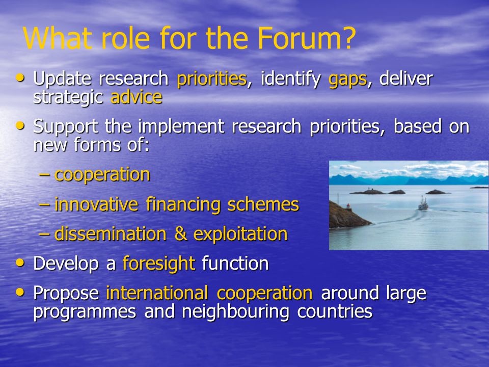 What role for the Forum Update research priorities, identify gaps, deliver strategic advice.