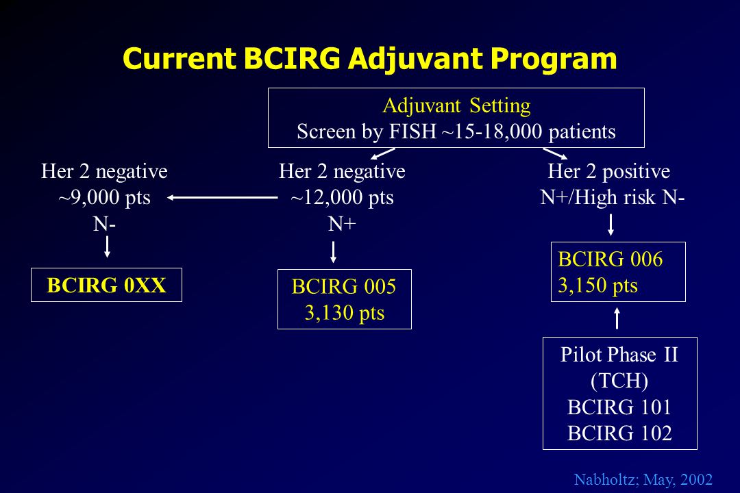 Current BCIRG Adjuvant Program