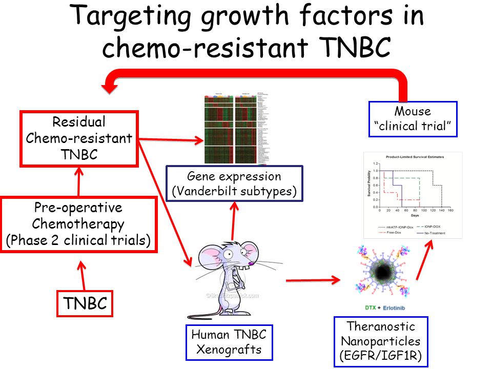 Targeting growth factors in chemo-resistant TNBC