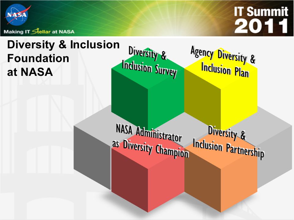 Diversity & Inclusion Foundation at NASA