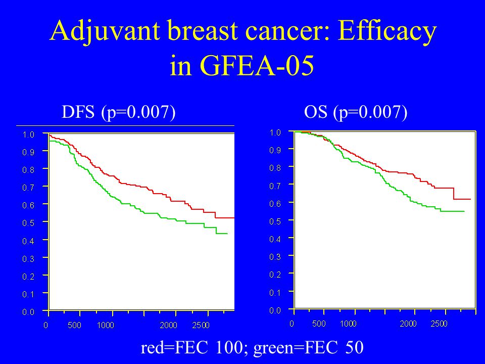 Adjuvant breast cancer: Efficacy in GFEA-05