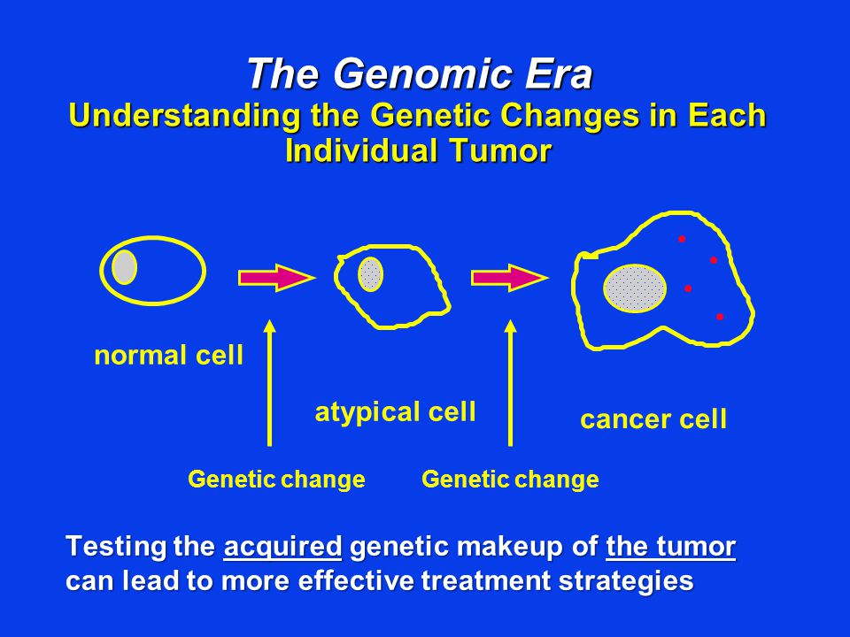 The Genomic Era Understanding the Genetic Changes in Each Individual Tumor