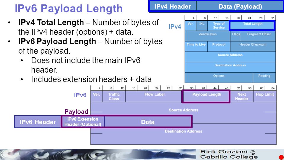IPv6 Extension Header (Optional)