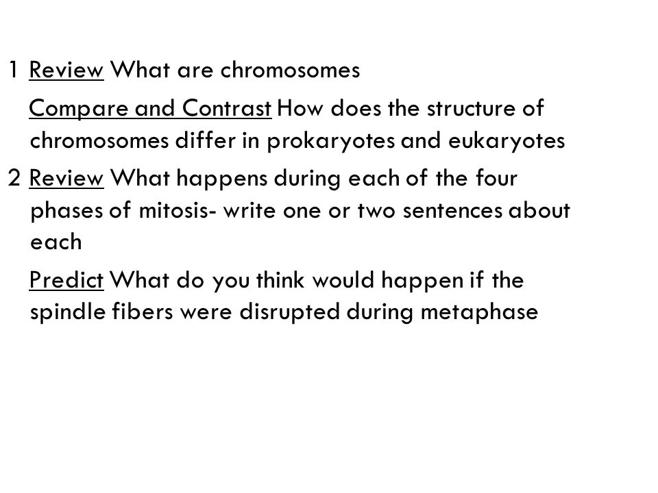 1 Review What are chromosomes Compare and Contrast How does the structure of chromosomes differ in prokaryotes and eukaryotes 2 Review What happens during each of the four phases of mitosis- write one or two sentences about each Predict What do you think would happen if the spindle fibers were disrupted during metaphase