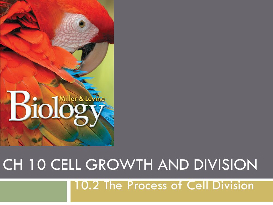 Ch 10 Cell Growth and Division