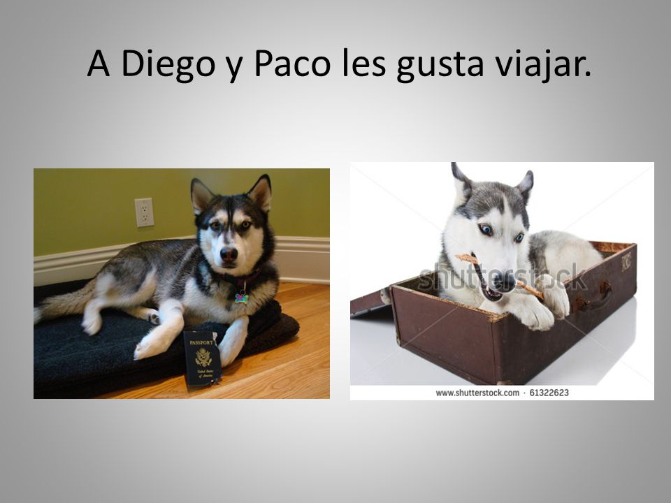 A Diego y Paco les gusta viajar.