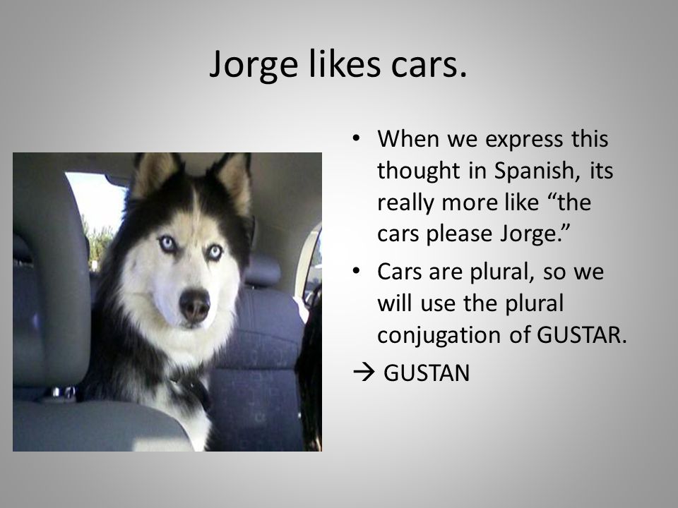 Jorge likes cars. When we express this thought in Spanish, its really more like the cars please Jorge.