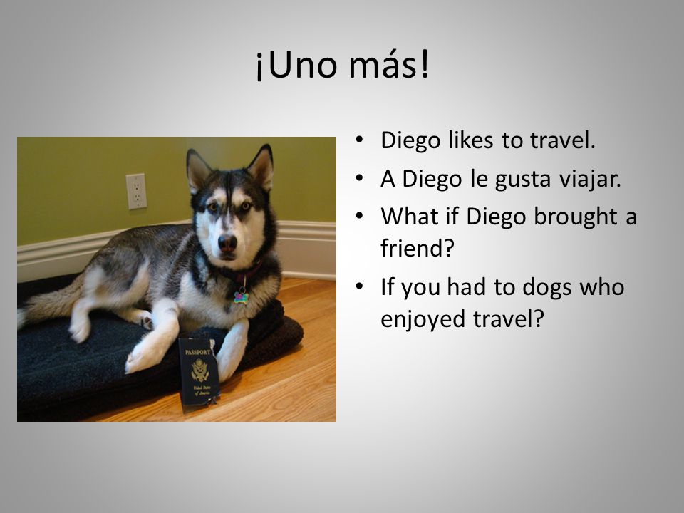 ¡Uno más! Diego likes to travel. A Diego le gusta viajar.