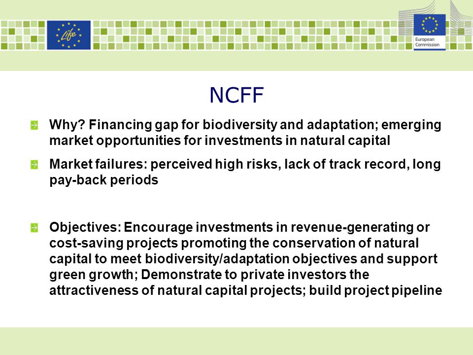 NCFF Why Financing gap for biodiversity and adaptation; emerging market opportunities for investments in natural capital.