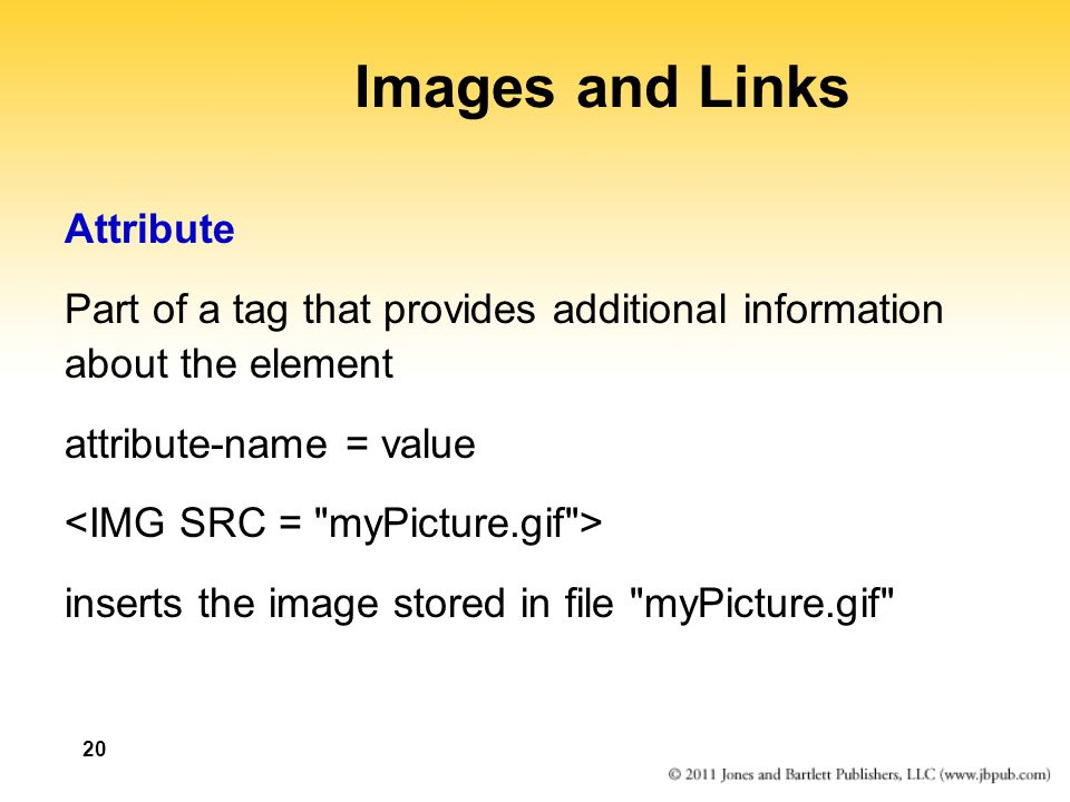 Images and Links Attribute