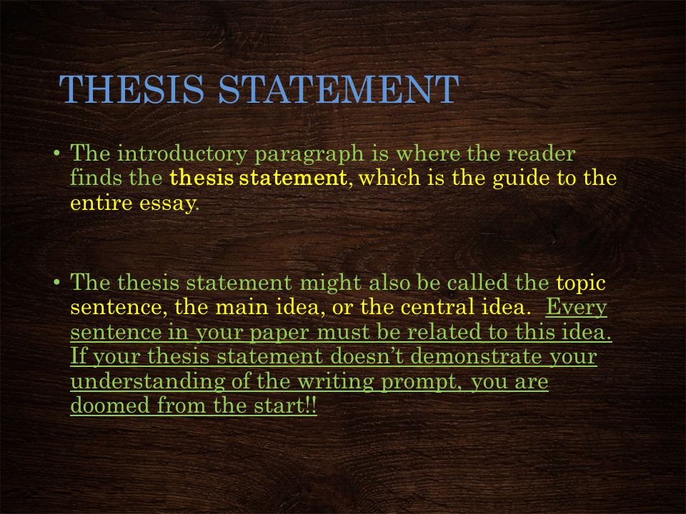 THESIS STATEMENT The introductory paragraph is where the reader finds the thesis statement, which is the guide to the entire essay.