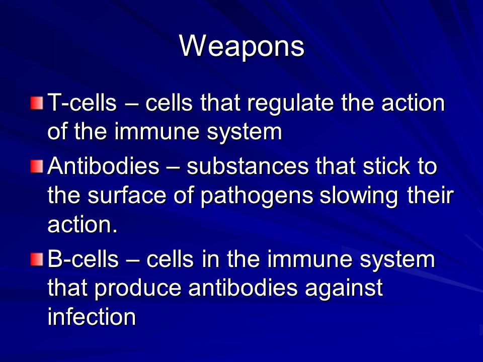 Weapons T-cells – cells that regulate the action of the immune system