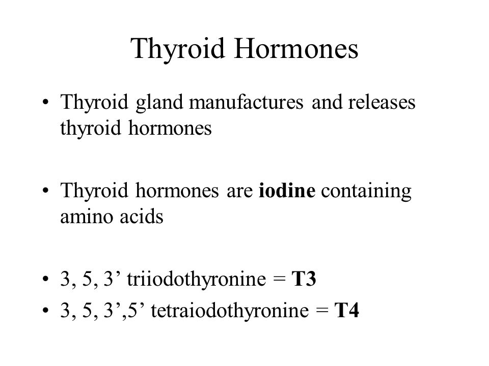 Thyroid Hormones Thyroid gland manufactures and releases thyroid hormones. Thyroid hormones are iodine containing amino acids.